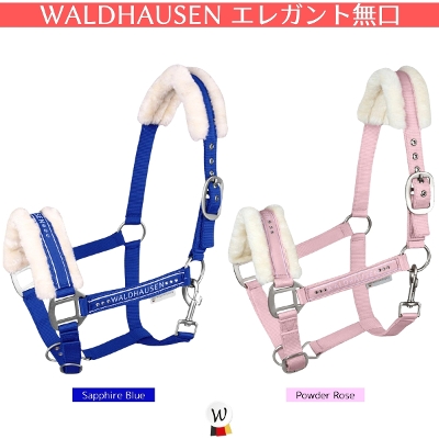 WALDHAUSEN GKg 
