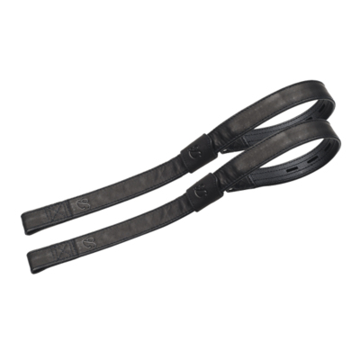 WALDHAUSEN BATES VO v