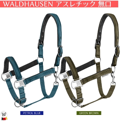 WALDHAUSEN �A�X���`�b�N ����