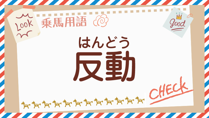 反動とは |乗馬用語集 - 乗馬用品ジョセスの記事一覧