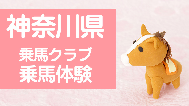 神奈川県乗馬クラブ 乗馬体験