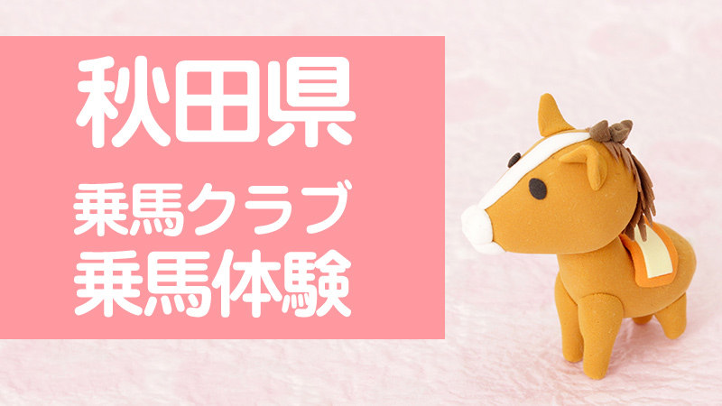 秋田県乗馬クラブ 乗馬体験