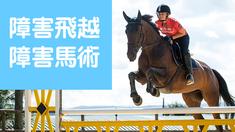 障害馬術競技とは 競技ルールや技 見どころを徹底解説 乗馬用品ジョセスの記事一覧