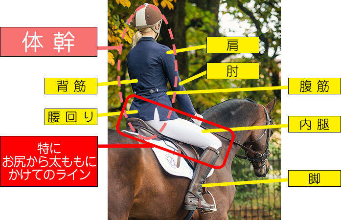 乗馬のダイエット効果