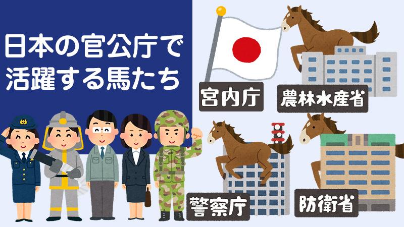日本の官公庁で活躍する馬について