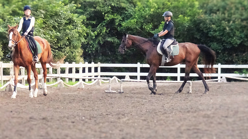 乗馬クラブのレッスンで知っておくべき用語・ワードまとめ