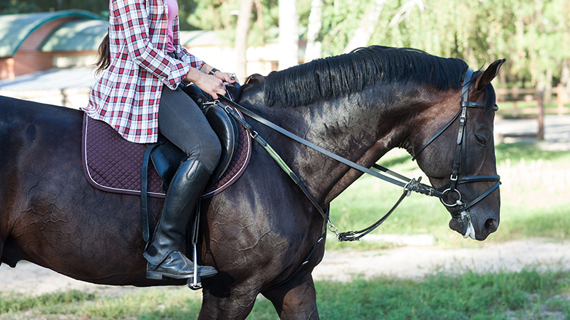 意外に高い乗馬の消費カロリー・乗馬でダイエット