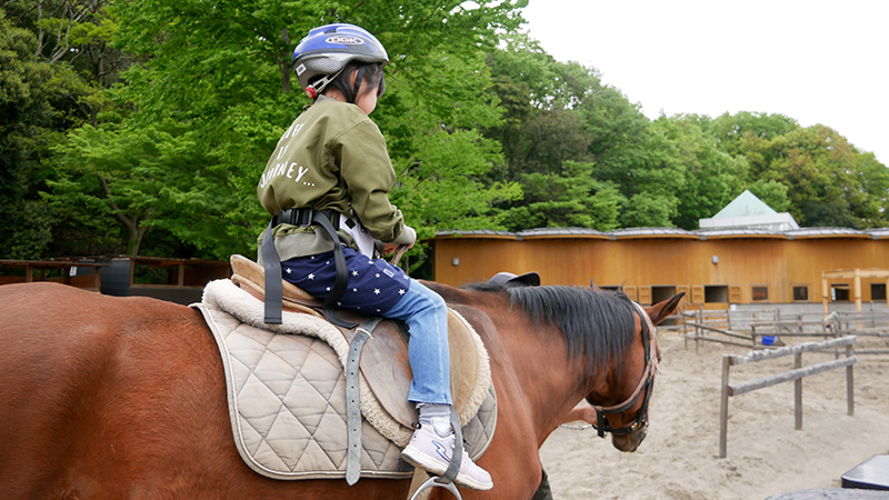 乗馬がもたらす意外な効果まとめ