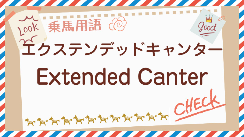 Extended Canterとは